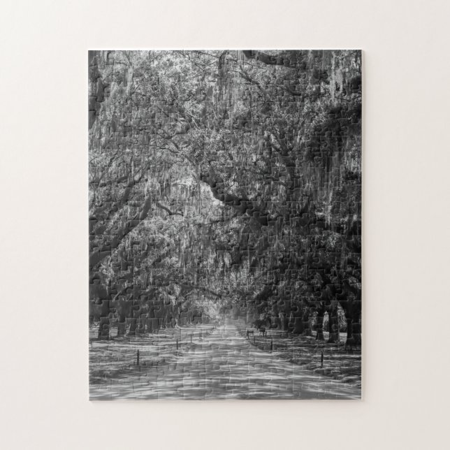 Avenue of Oaks Grayscale Pussel (Vertikal)