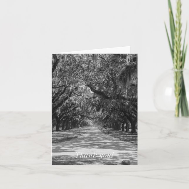 Avenue of Oaks Grayscale Tack Kort (Framsida)