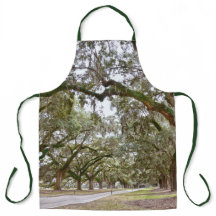 Avenue of Oaks, South Carolina