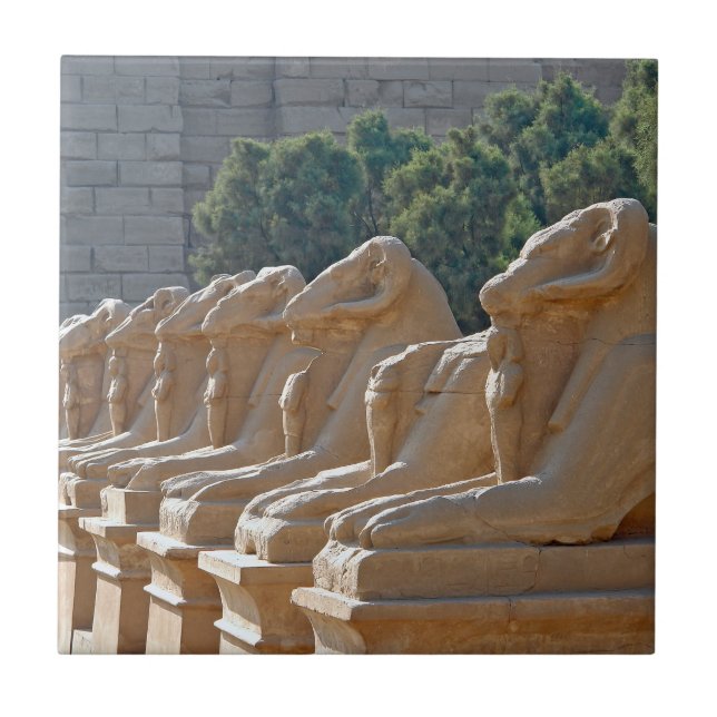 Avenue of Sphinxes in Karnak Temple - Egypten Kakelplatta (Framsidan)