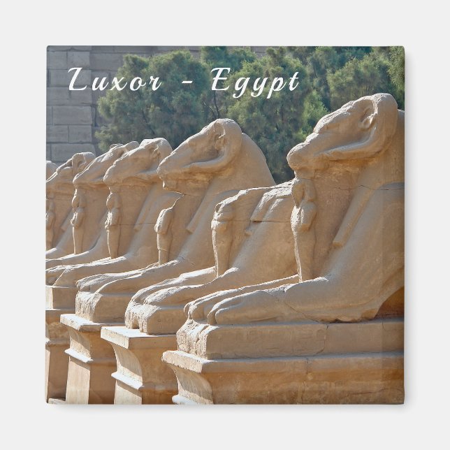 Avenue of Sphinxes in Karnak Temple - Egypten Magnet (Framsidan)
