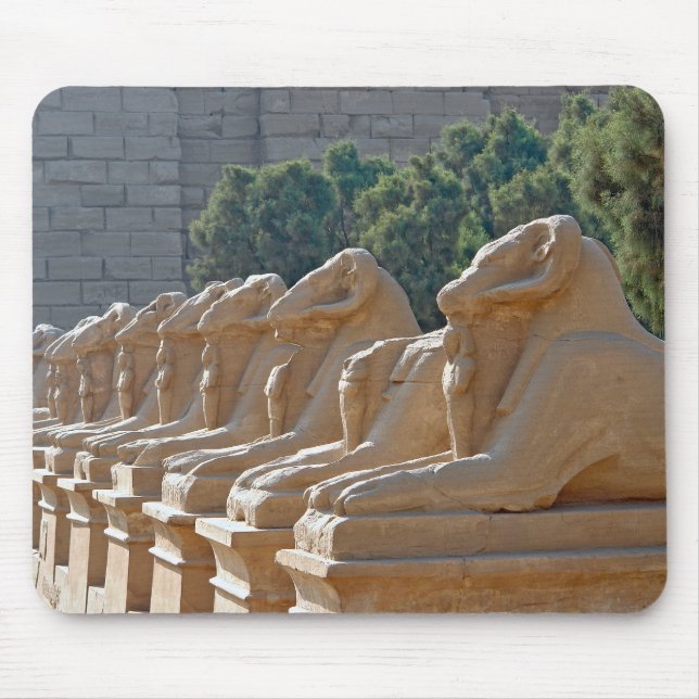 Avenue of Sphinxes in Karnak Temple - Egypten Musmatta (Framsidan)