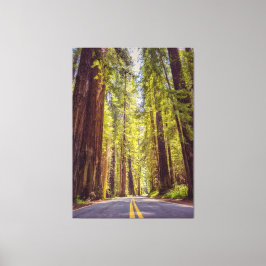 Avenue of the Giants Canvastryck