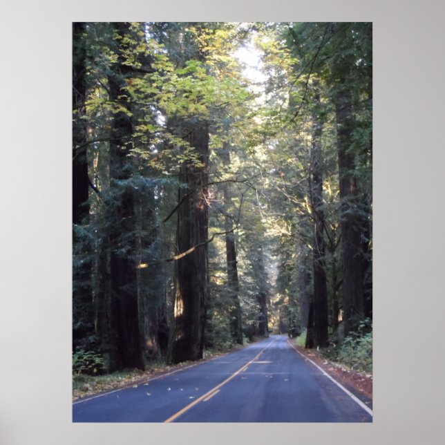 Avenue of the Giants- Humboldt Redwood State Park Poster (Framsidan)