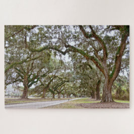 Avenue of the Oaks, South Carolina Pussel