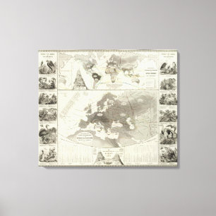 Aves, fåglar canvastryck