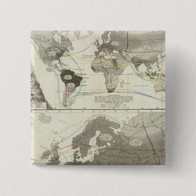 Aves, fåglar knapp (Framsida)