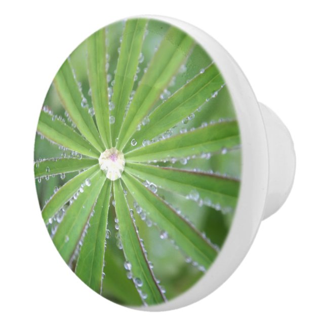 Avfall Knopp (Höger)