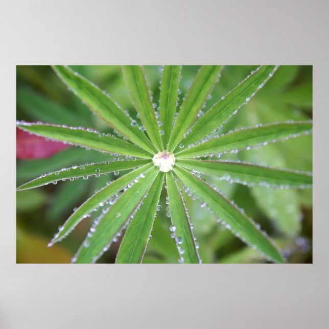 Avfall Poster (Framsidan)