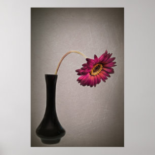 Avfallande Gerbera-Daisyn i Vas Poster