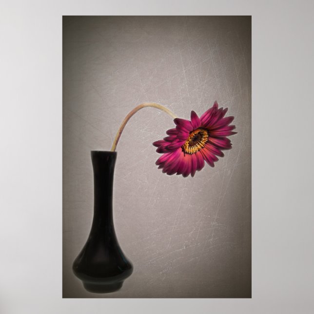 Avfallande Gerbera-Daisyn i Vas Poster (Framsidan)