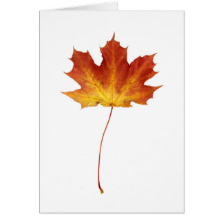 Avfyra det röda lönnlövkortet hälsningskort