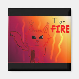 Avfyra kattmagneten magnet
