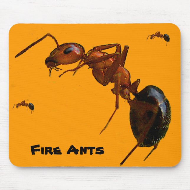 Avfyra myror musmatta (Framsidan)