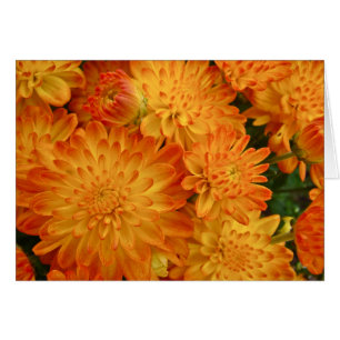 Avfyra orange Chrysanthemums Hälsningskort