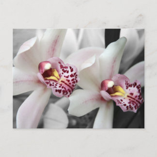 Avfyra orchiden vykort