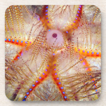 Avfyra plast- underlägg för gatubarnet hårt