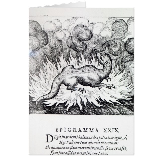 Avfyra, som salamanderen bor in hälsningskort (Framsidan)