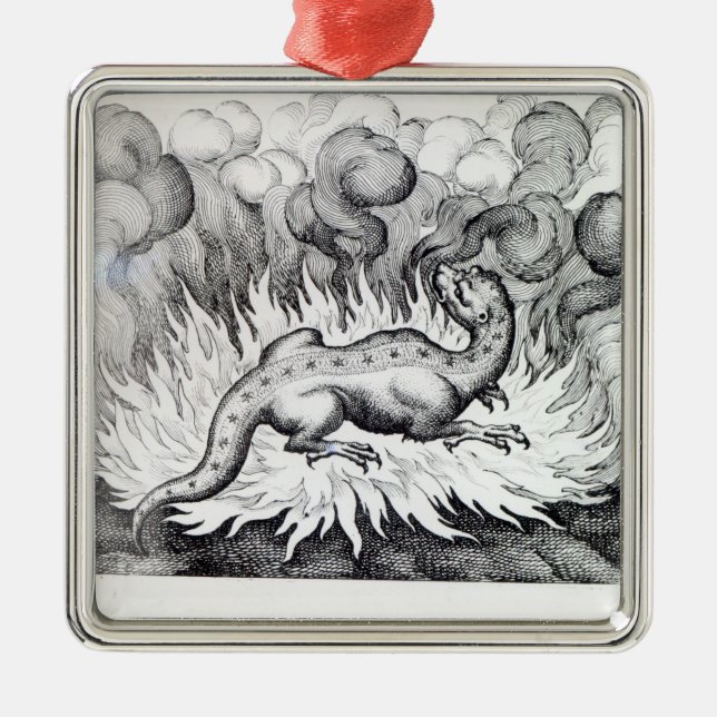 Avfyra, som salamanderen bor in julgransprydnad metall (Framsidan)