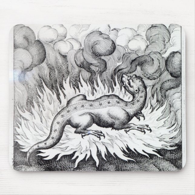 Avfyra, som salamanderen bor in musmatta (Framsidan)