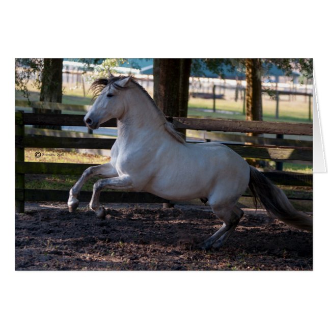 Avgift Hälsningskort (Framsidan Horizontal)