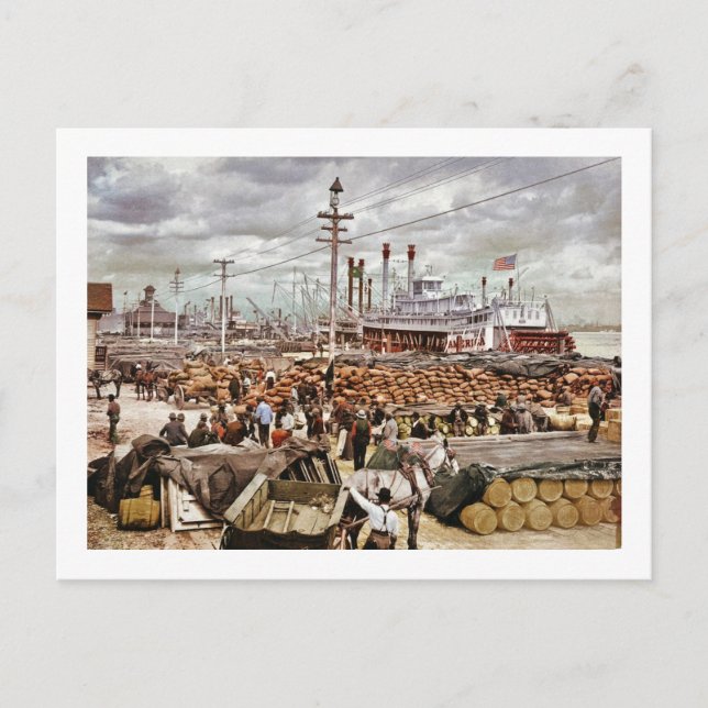 Avgift på Canal Street New Orleans 1900 Vykort (Framsida)