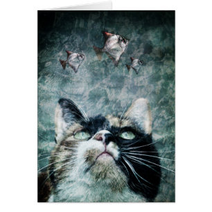 Avgrundkatt - kort