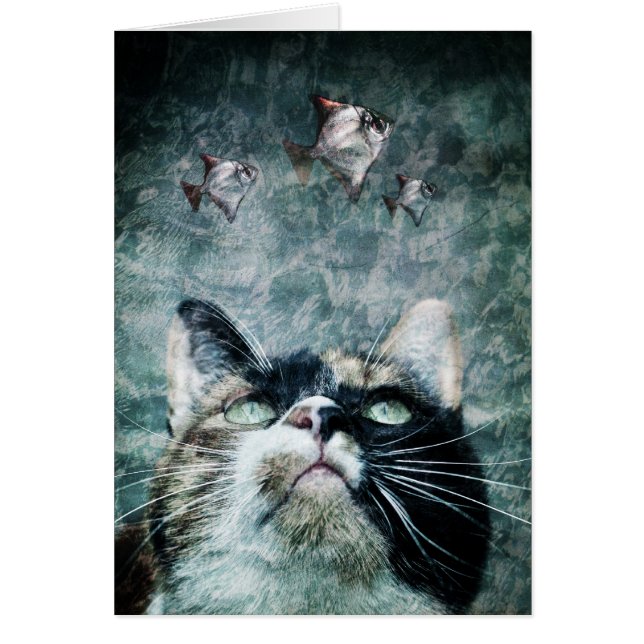 Avgrundkatt - kort (Framsidan)