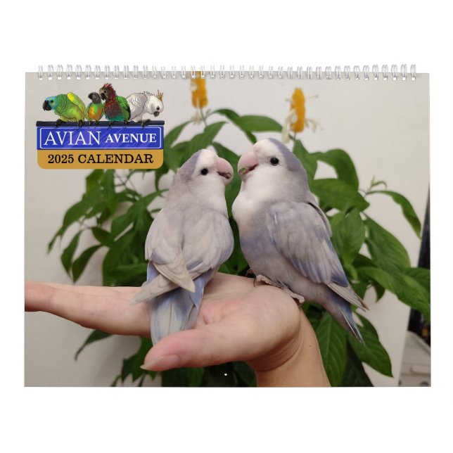 Avian Avenue 2025 Parrot Calendar Kalender (Omslag)