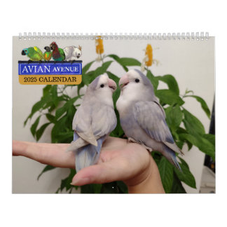 Avian Avenue 2025 Parrot Calendar Kalender