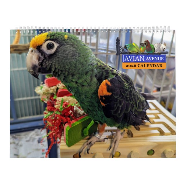 Avian Avenue 2026 Papegojkalender Kalender (Omslag)