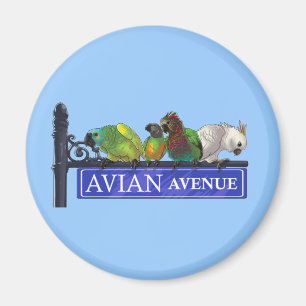 Avian avenymagneter magnet
