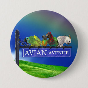 Avian avenypapegojafora knäppas knapp