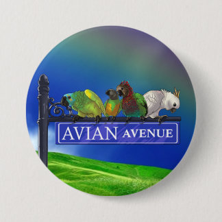 Avian avenypapegojafora knäppas knapp