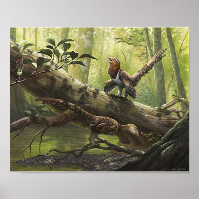 Avian Balaur bondoc Poster (Framsidan)