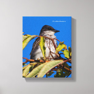 Avian Royalty: Östra Kingbird Canvastryck