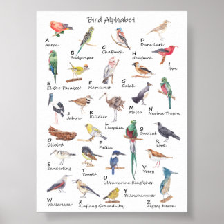Aviär alfabet: Poster från A till Z