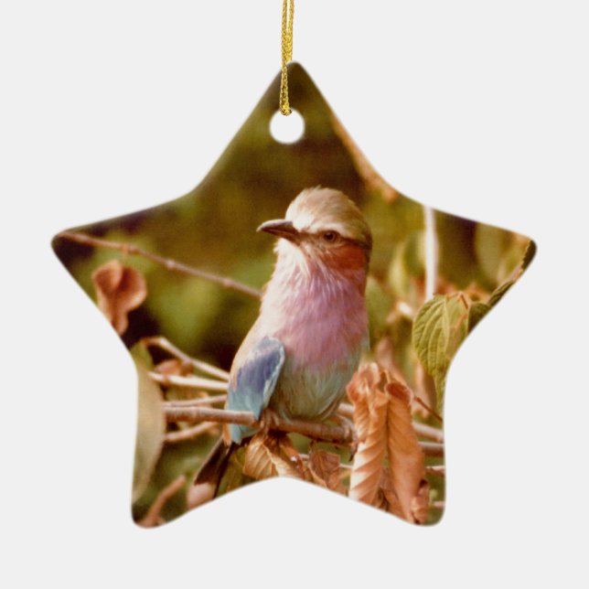 Aviarium Julgransprydnad Keramik (Framsidan)