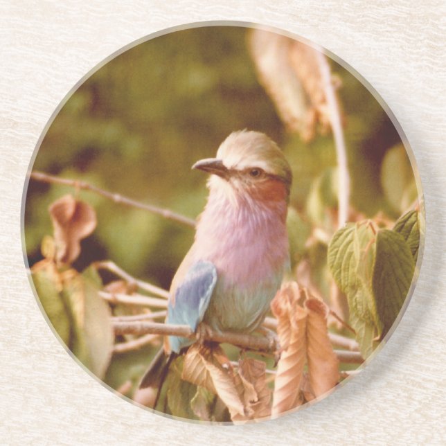 Aviary Underlägg Sandsten (Framsidan)