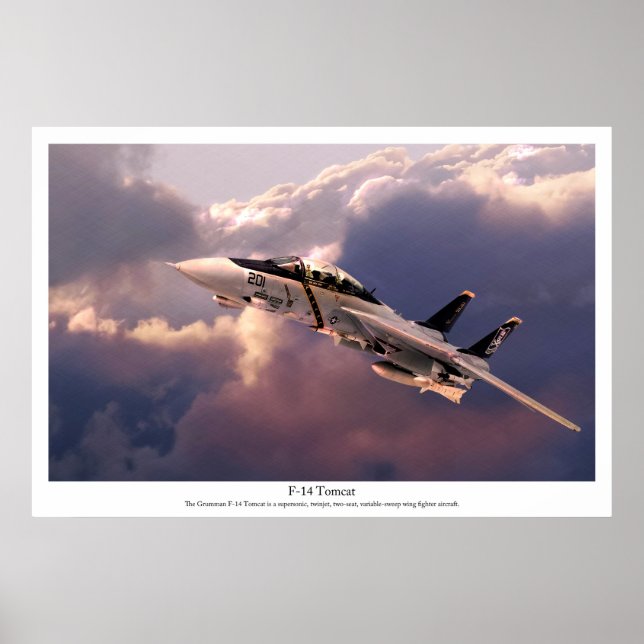 Aviation Art Poster "F-14 Tomcat" (Framsidan)