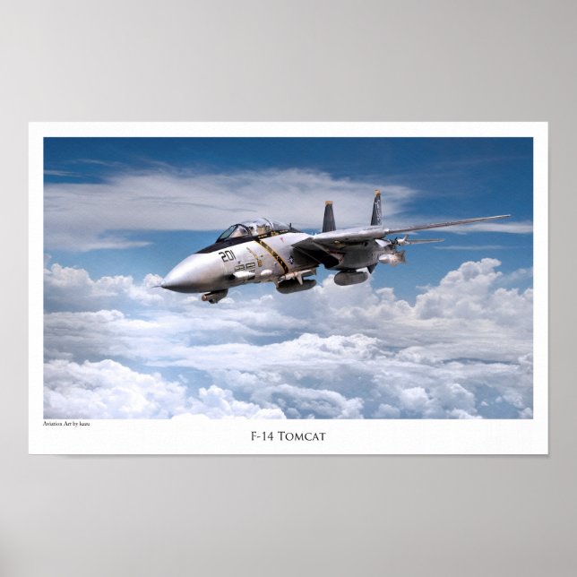 Aviation Art Poster "F-14 Tomcat" (Framsidan)