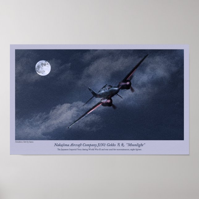 Aviation Art Poster " Nakajima J1N Irving" (Framsidan)