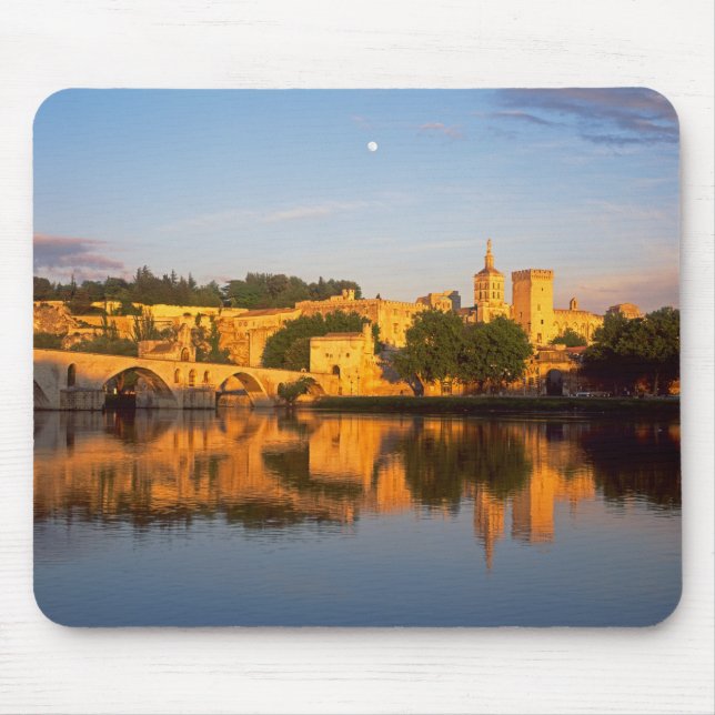 Avignon, Vaucluse, Provence, Frankrike, Rhone Musmatta (Framsidan)
