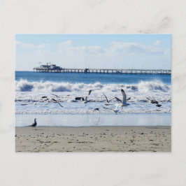 Avila Beach Postcard Vykort