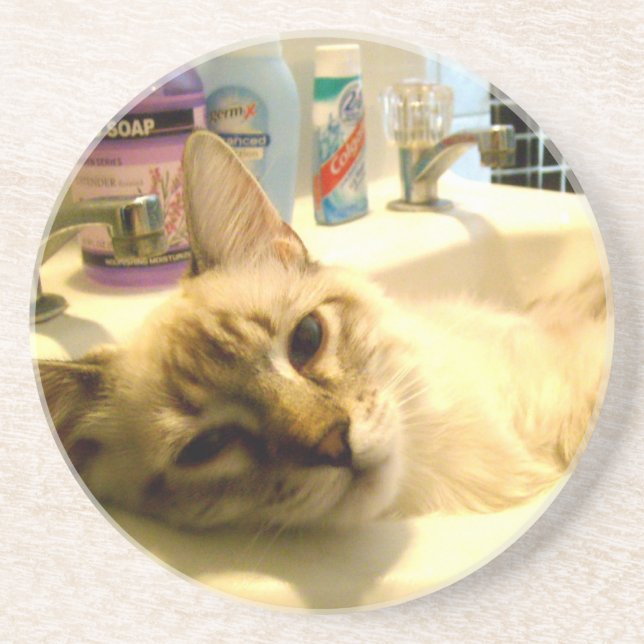 avkopplad kattungekustfartyg underlägg (Framsidan)