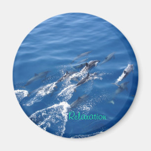Avkoppling Magnet