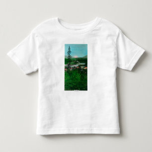 Avlägset beskåda av den maximala glaciären och t shirt