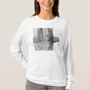 Avlägset beskåda av djävulen torn med vatten i tee shirt