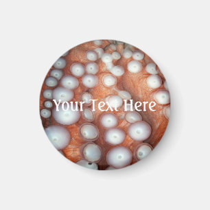 Avlasta nära oktopus magnet
