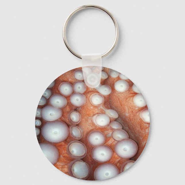 Avlasta nära oktopus nyckelring (Framsida)